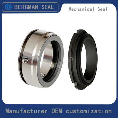 Bergman OEM W01 W02 W03 Rotor Pump Sanitary Pumps Food Pumps Seals Mechanical Seal