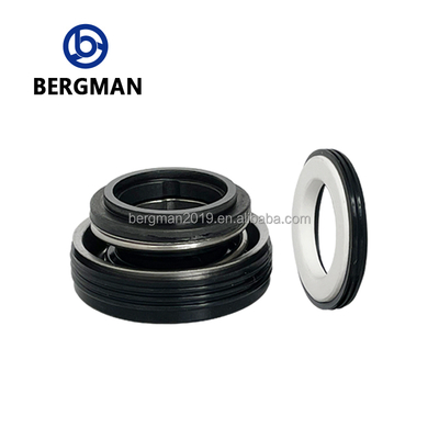 Segredo mecânico da série BERGMAN FT 12-30 mm para bombas rotativas