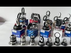 EA560D Bomba Burgmann Selo mecânico WQ Submersível desequilibrado